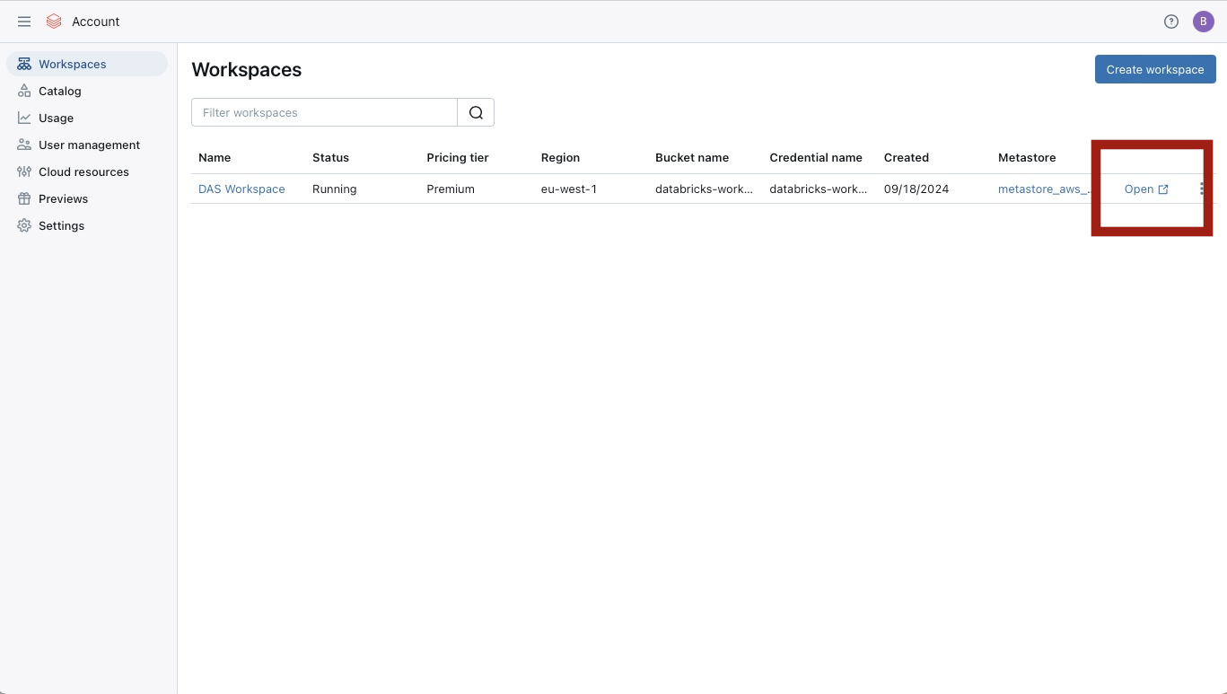 Databricks workspaces